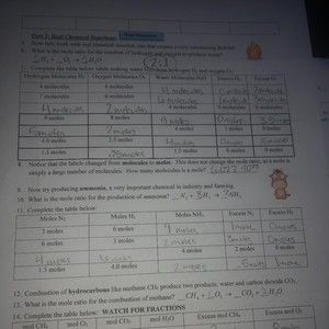 Meet your Posher, Finn